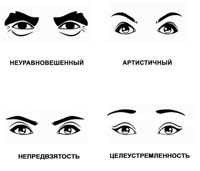 Какие есть формы глаз. Темперамент по форме бровей. Формы глаз человека. Типы бровей физиогномика. Форма глаз и характер.